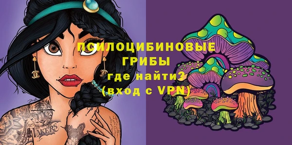 МДПВ Абинск